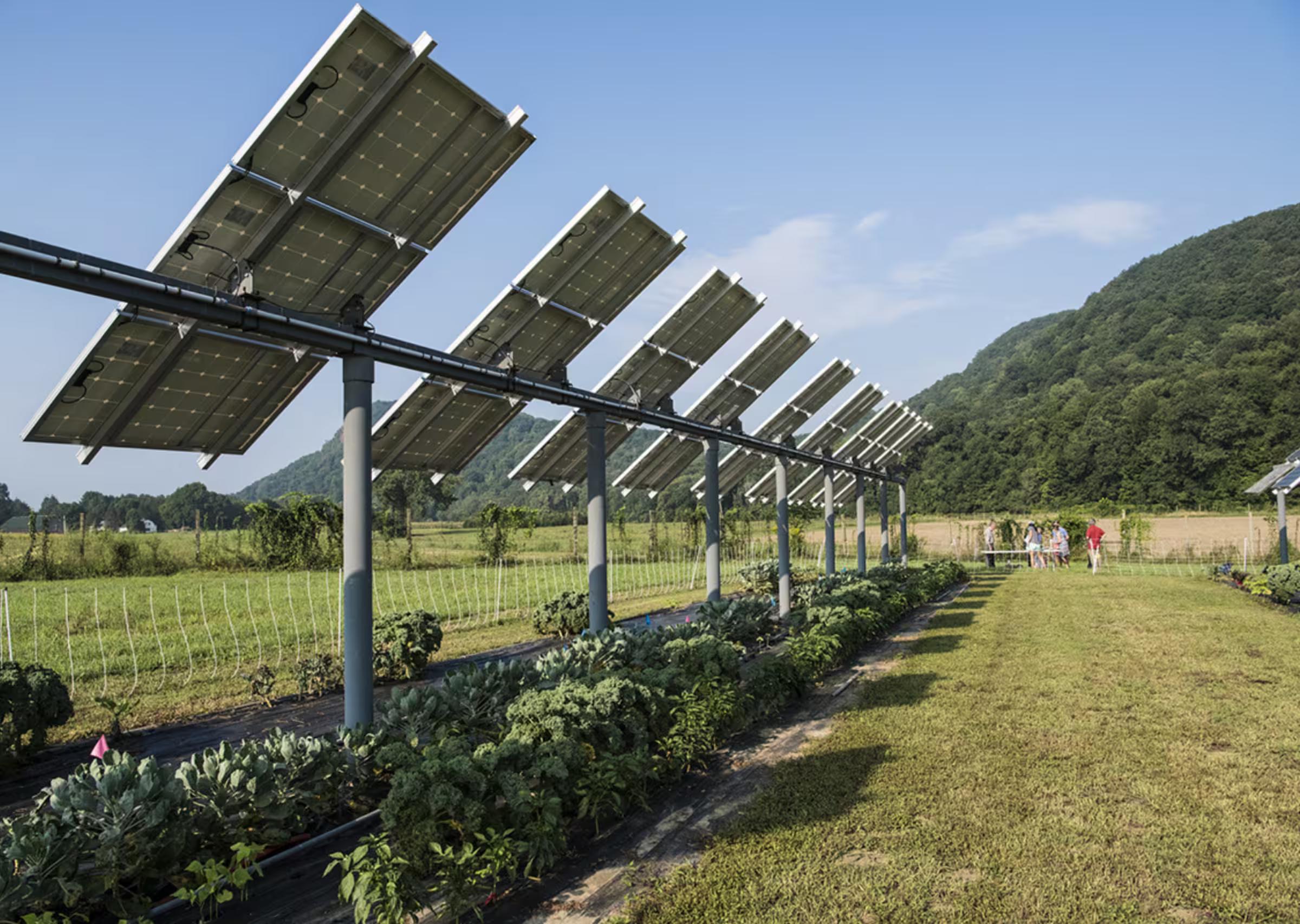 Impianti Fotovoltaici per Colture Agricole