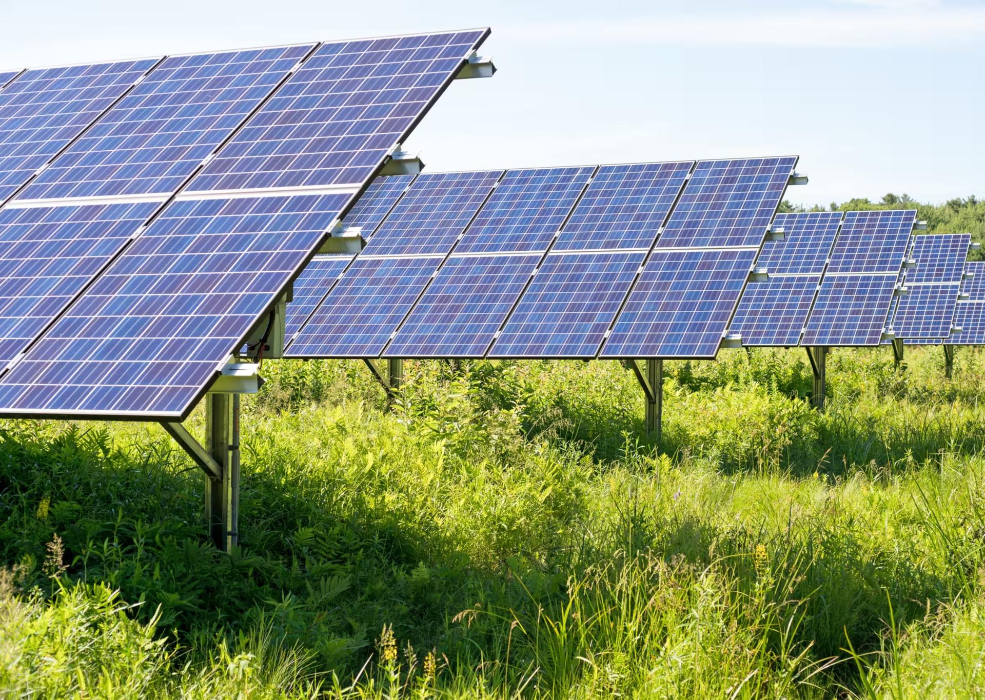 Impianto fotovoltaico in azienda e il calcolo del ROI