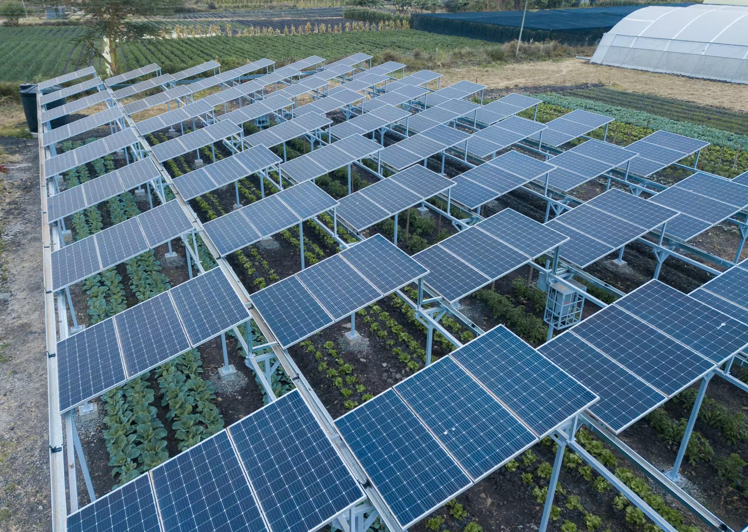 Agrivoltaico: Come Funziona e che Vantaggi ci sono quando Agricoltura e Fotovoltaico vengono uniti